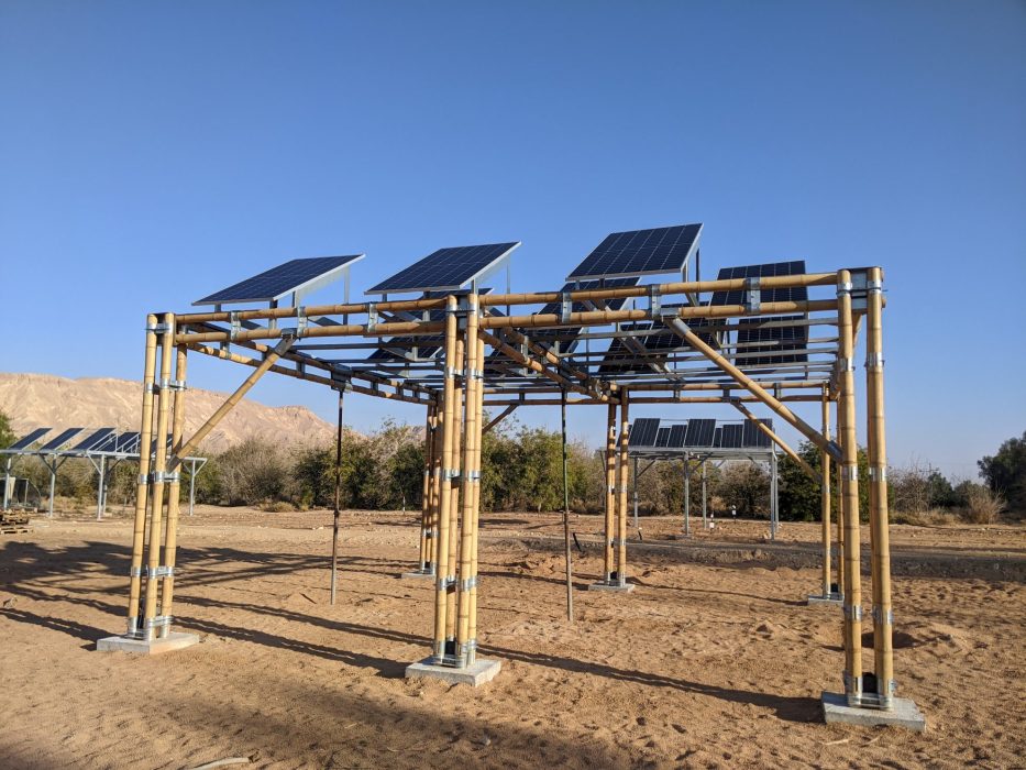 Agrivoltaics in the Arava Desert, Israel