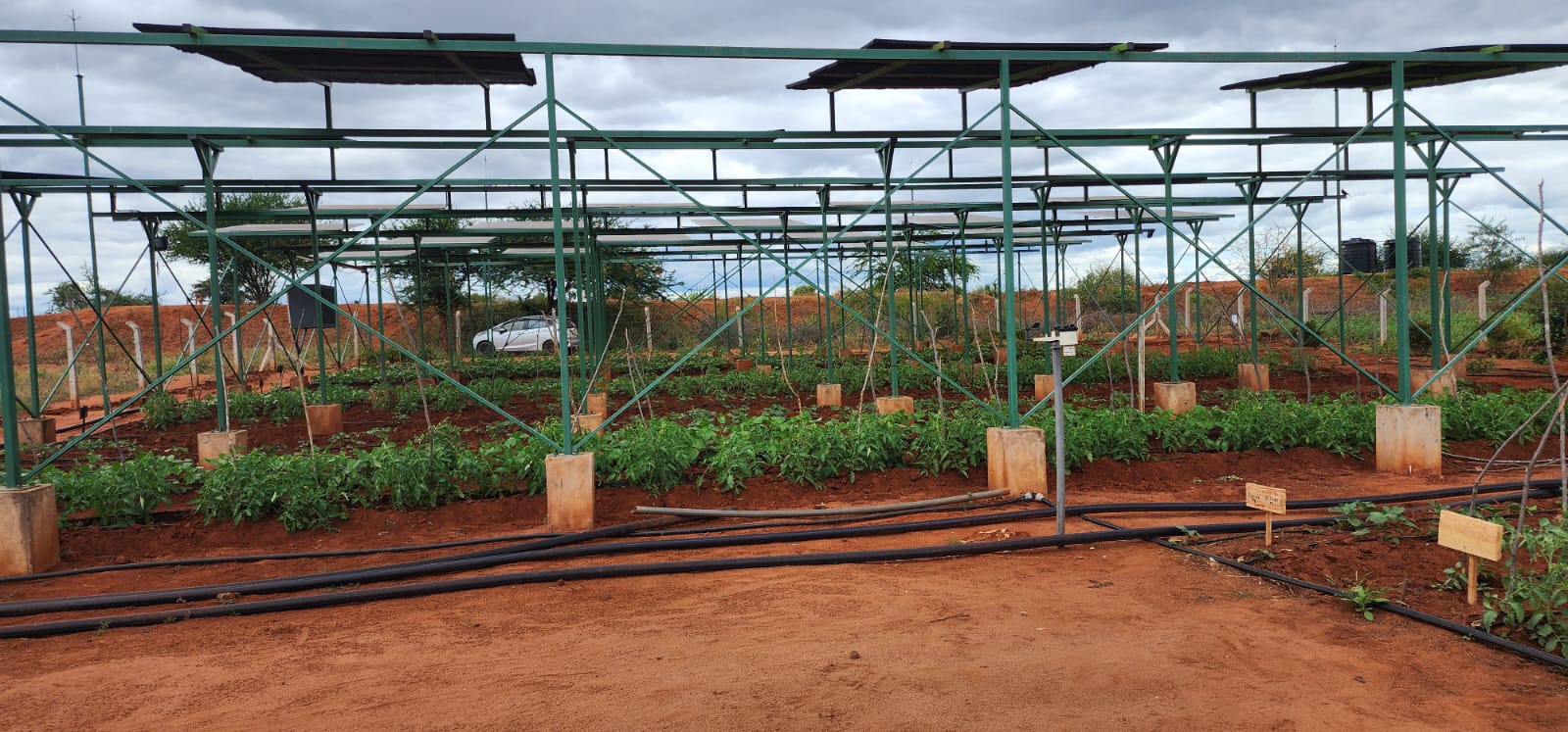 Community agrivoltaics in Kenya