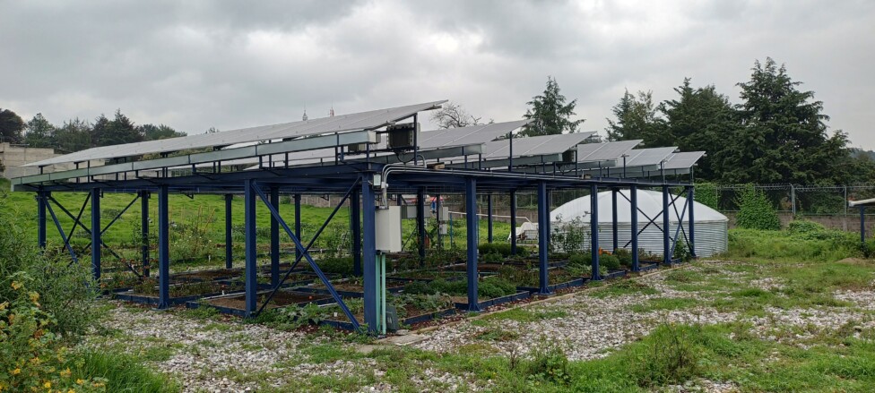 PASE Agrivoltaics project in Mexico