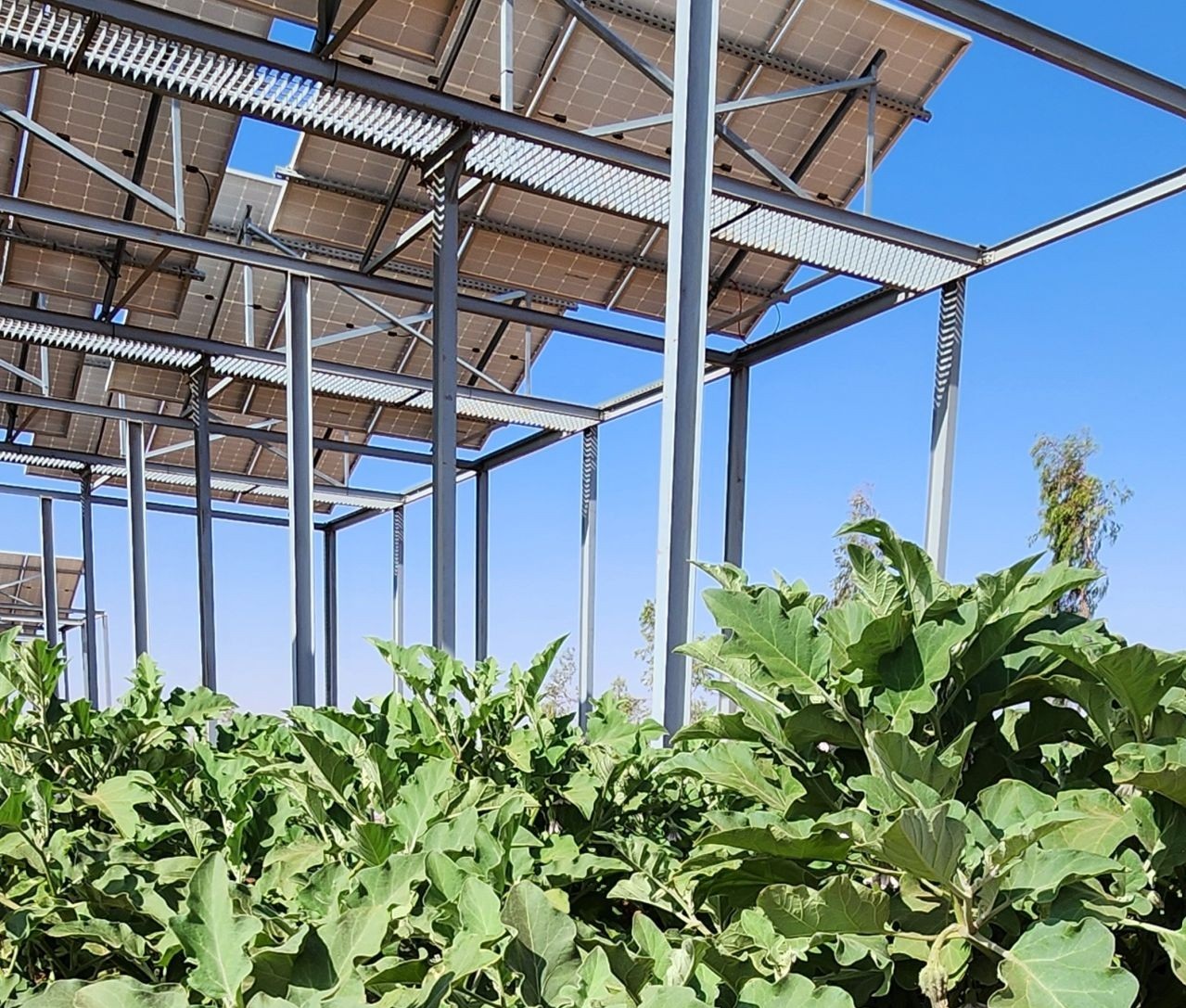 Green Energy Park in Morocco